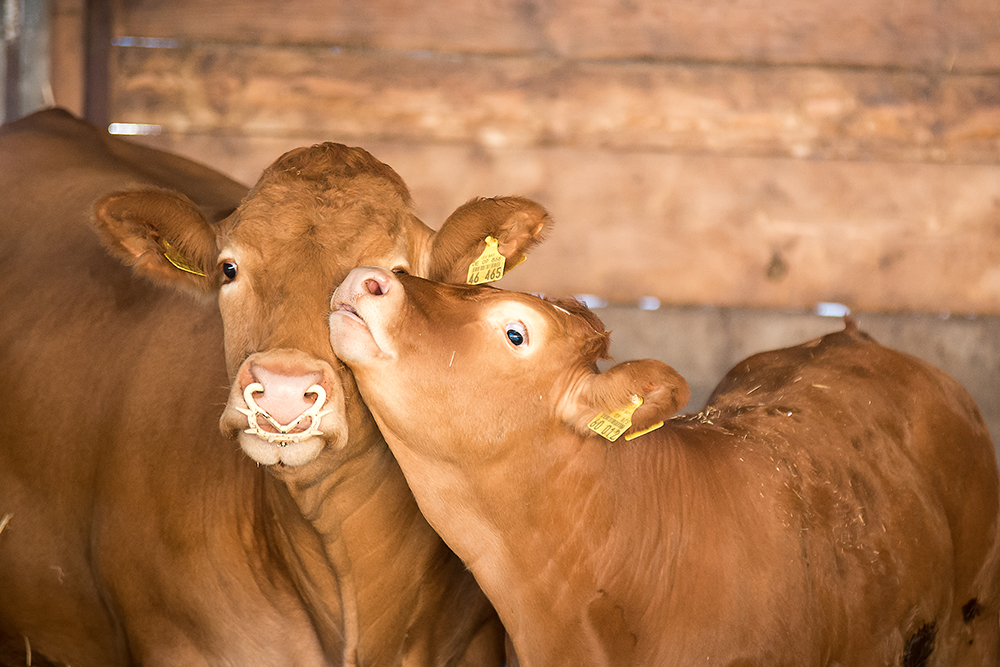 Unsere Landwirtschaft